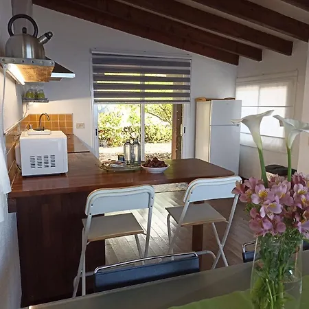 Dos Violetas Mocanal