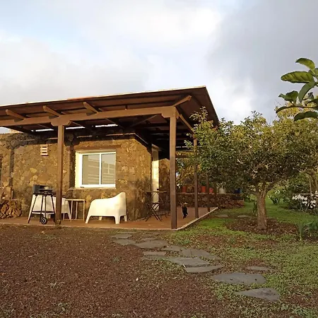 Dos Violetas Tatil Evi