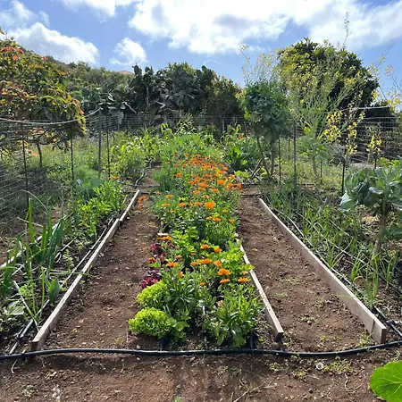 Tatil Evi Dos Violetas