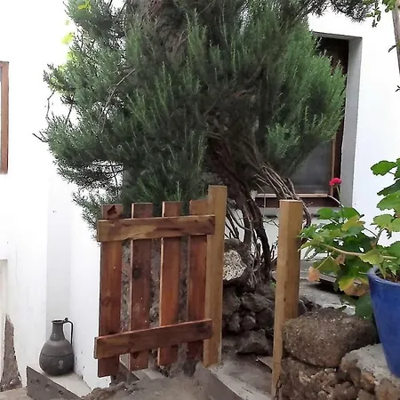 Dos Violetas Tatil Evi Mocanal