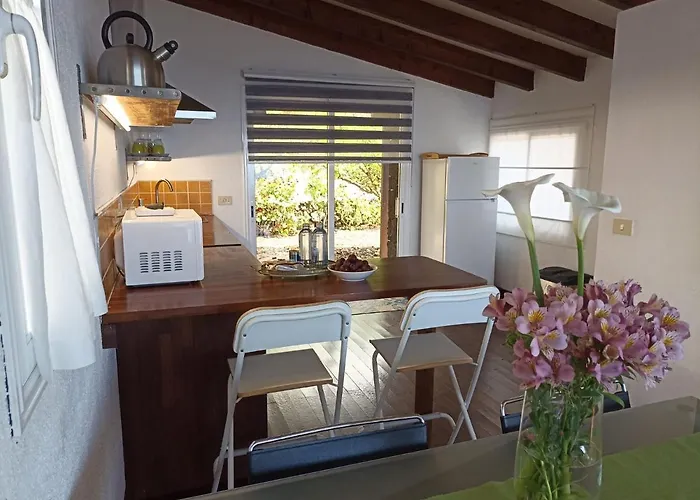 Dos Violetas 莫卡诺尔