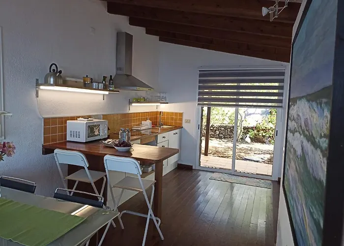 Dos Violetas 莫卡诺尔